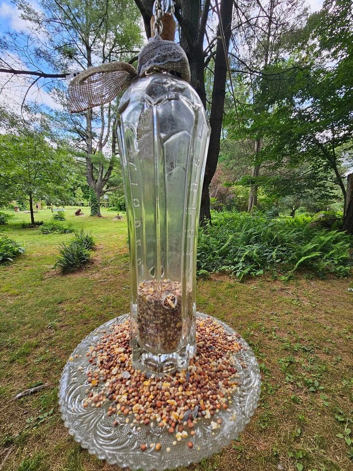 Bird Feeder Glass Wine Bottle