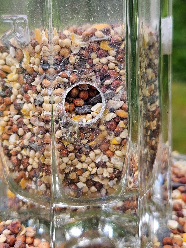 Bird Feeder Glass Wine Bottle