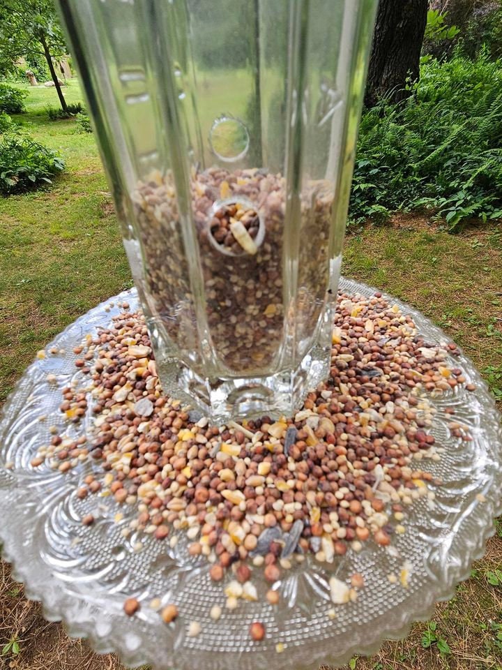 Bird Feeder Glass Wine Bottle